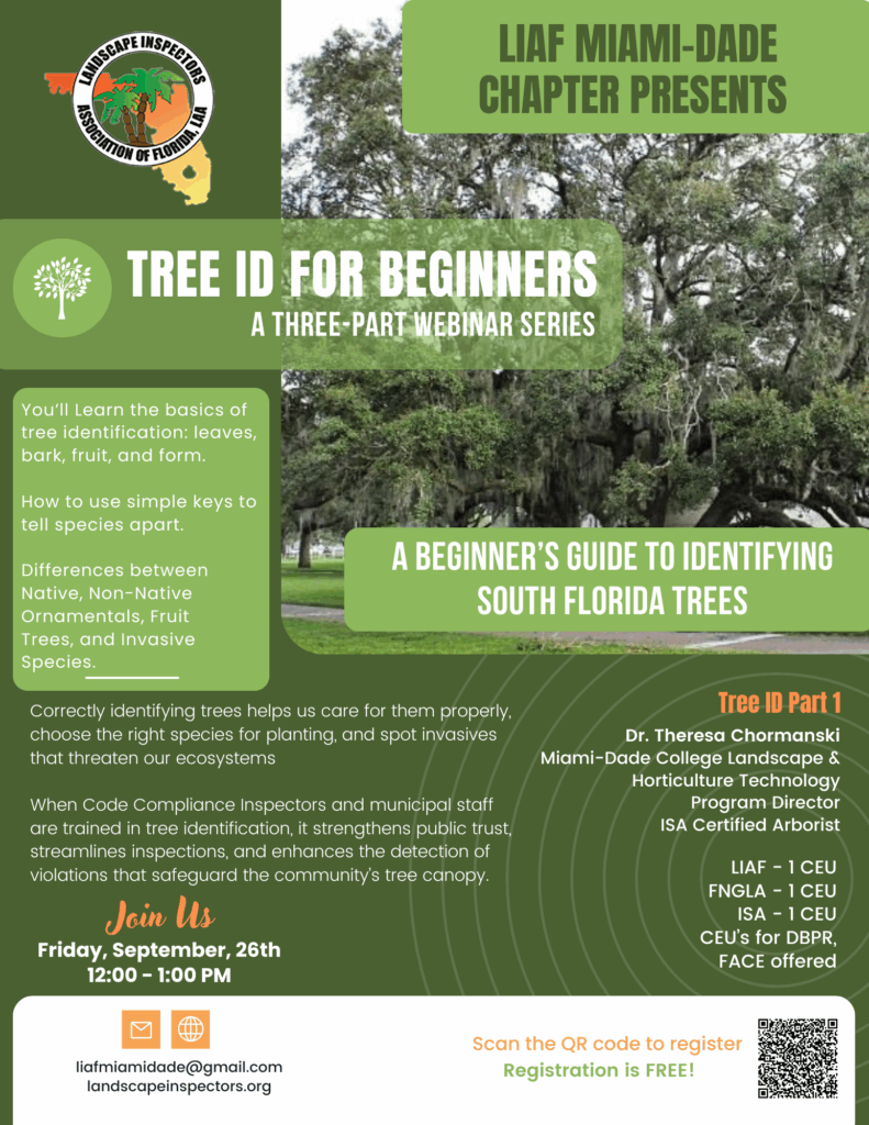 Tree ID for Beginners with Dr. Theresa Chormanski