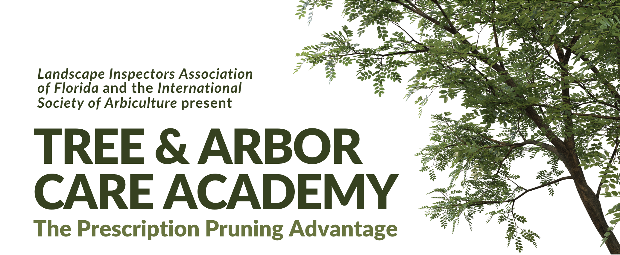 TreeAcademy Header